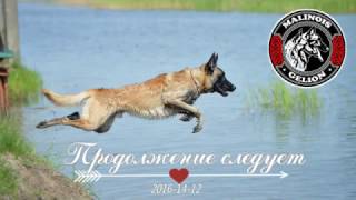 Мондиоринг. Малинуа Трай. Послушание