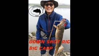 WHook.3 배스낚시 배스 & 잉어 다운샷 리그 bass & carp Down shot rig