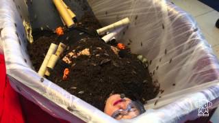Extreme Karaoke - Creepy Crawly Coffin