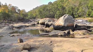 CHINNAR WILDLIFE/THUVANAM FALLS/SHOLA NATIONAL PARK.. HD