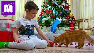 Макс наряжает ёлку на Новый Год 2017 / Ждём подарочки в носках / Мурка грызёт белочку под ёлочкой