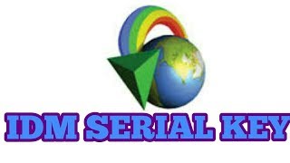 Internet Download Manager (IDM) 6.28 Build 17 Crack