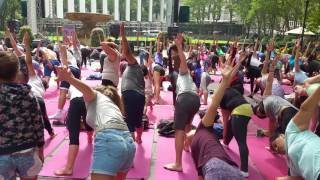 KOG Quick YOGA In The Park  2017