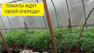 Подробный обзор огорода 16 мая. Ответы на вопросы. 