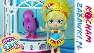 Shopkins • Gadający ptaszek • Little Live Pets • Bajki po polsku