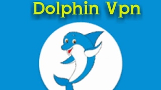 How to use Dolphin vpn