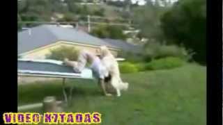 Video Cassetadas Fevereiro 2012 - VK7 - Fail Compilation