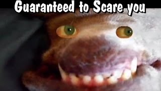 Dark Wolf Vampire Slayer Super Scary double feature