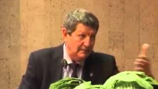 Андрей Синельников. Версии Куликовской битвы