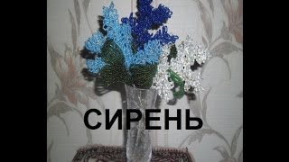 Бисероплетение для начинающих (Сирень) 1 часть Мастер-класс