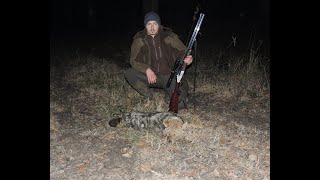 E 4 Lov čaglja u Hrvatskoj / Hunting Golden Jackal in Croatia