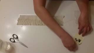 Проращивание семян