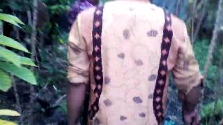Panen Ubi Belakang Rumah.