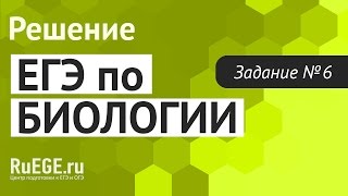 Решение демоверсии ЕГЭ по биологии 2016 | Задание 6. [Подготовка к ЕГЭ (RuEGE.ru)]