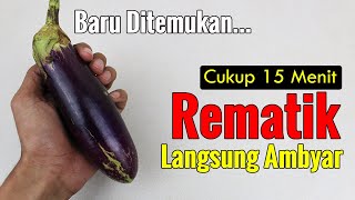 ANDA YANG PERTAMA TAHU.... CUKUP PAKAI INI, REMATIK MENAHUN SEMBUH TOTAL