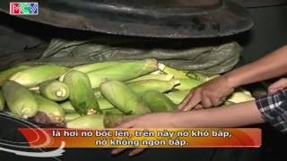 [Phóng sư] - sự thật về nghề nấu - bán bắp luộc.