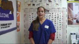Feral Cat Discharge