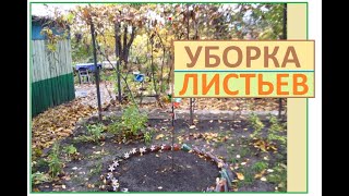 ЛИСТВЫ навалила ОСЕНЬ, опять убираем и с крыши тоже