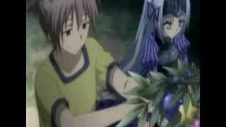 dulce maria amv