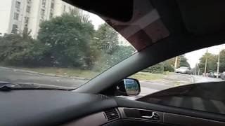 Мопс. Старый лесбиян