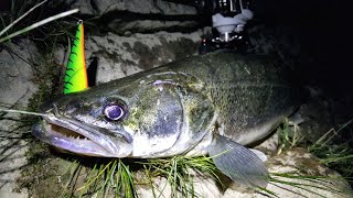 Судак на воблеры вечером и ночью!/Zander fishing on hard-baits in the evening and night!
