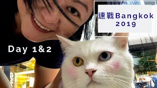 速戰Bangkok 2019 Day 1&2｜榮泰魚蛋粉 Savoey咖哩蟹｜Emi