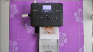 Принтер Canon Selphy CP800 в роботі