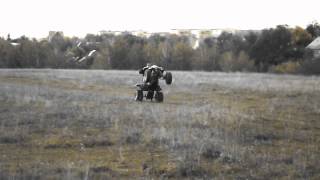 Raptor Wheelies