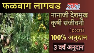 #फळबाग लागवड,# pocra योजना.