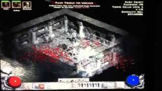 Ghost in Diablo 2. Decrepify and Amplify Damage couldn't br
