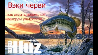РР4! Ловля на вэки! Как победить в недельных рекордах!