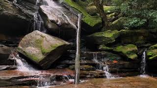 Waterfall Sounds in the Forest | Flowing Water Sounds for Relaxing & Sleeping (Natural White Noise)