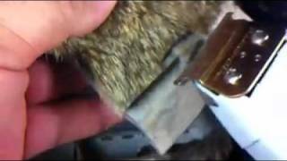 Andis T-Liner sharpening