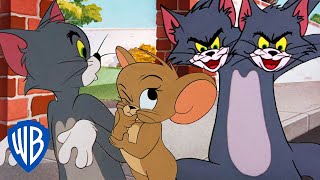 Tom y Jerry en Latino | Lo mejor del gato Tom | @WBKidsLatino