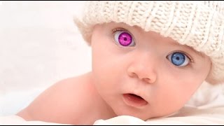 Bebés con 3 PADRES