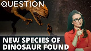 Experts unearth new species of dinosaur in Mexico