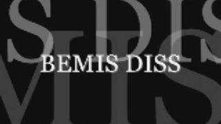 BEMIS DISS PT2