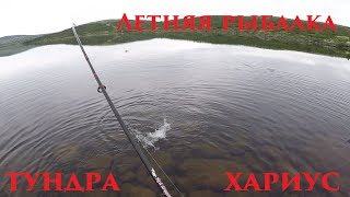 30 КМ ПЕШКОМ В ТУНДРУ ЗА ХАРИУСОМ / 30 KM ON FOOT INTO THE TUNDRA IN PURSUIT OF GRAYLING