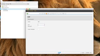 Intalling SAP GUI for Java on Mac OSX