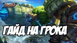 Гайд-обзор на Грока от TrexteriNo