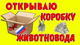 Открываю коробку животновода / Покупать в России выгоднее, чем в Китае