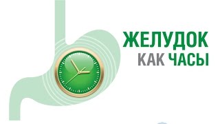 ГАСТРОЭНТЕРОЛОГИЯ