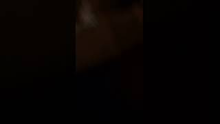 Girl fart
