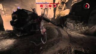 Evolve Hunt: Savage Wraith