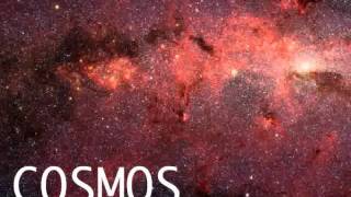 Cosmos — Fledermausis