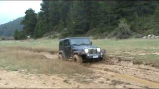 Black Wrangler-White Niva