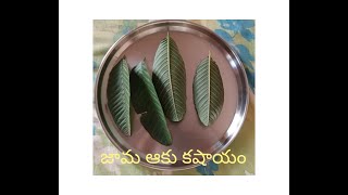 Jaama aaku kashayam Telugu or Guava leaf extract or jama aaku kashayam