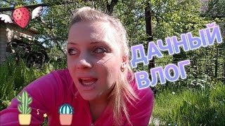 ВЛОГ: Дачная подборка // Сад и огород