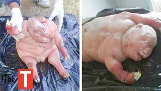10 Monsters Science Cannot Explain