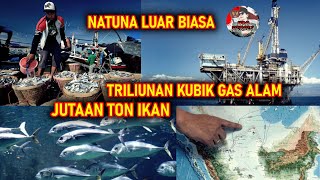 JADI REBUTAN NEGARA ASING !! INILAH POTENSI LUAR BIASA PERAIRAN LAUT NATUNA INDONESIA